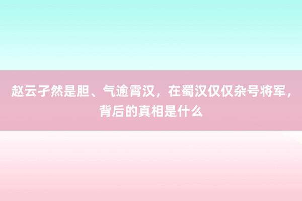 赵云孑然是胆、气逾霄汉，在蜀汉仅仅杂号将军，背后的真相是什么