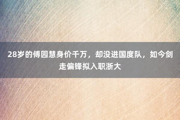 28岁的傅园慧身价千万，却没进国度队，如今剑走偏锋拟入职浙大