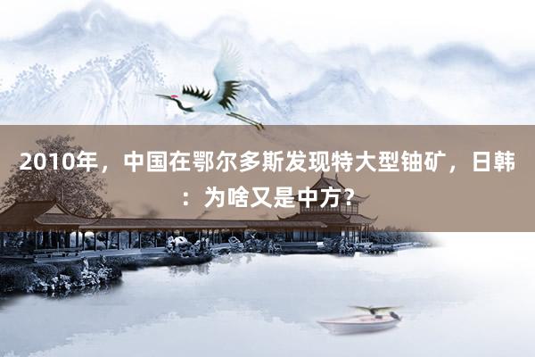 2010年，中国在鄂尔多斯发现特大型铀矿，日韩：为啥又是中方？