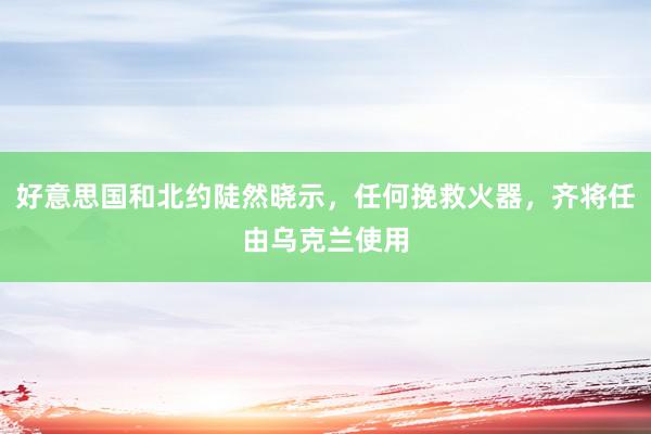 好意思国和北约陡然晓示，任何挽救火器，齐将任由乌克兰使用